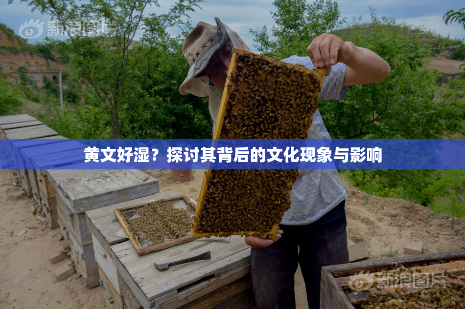 黄文好湿？探讨其背后的文化现象与影响