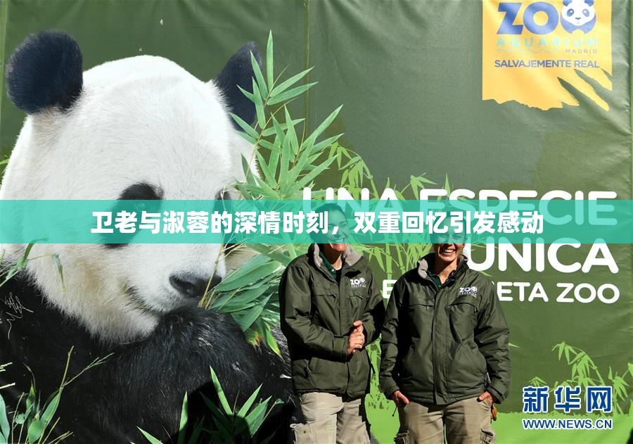 卫老与淑蓉的深情时刻，双重回忆引发感动