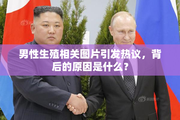男性生殖相关图片引发热议，背后的原因是什么？