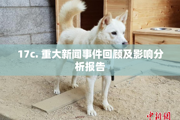 17c. 重大新闻事件回顾及影响分析报告