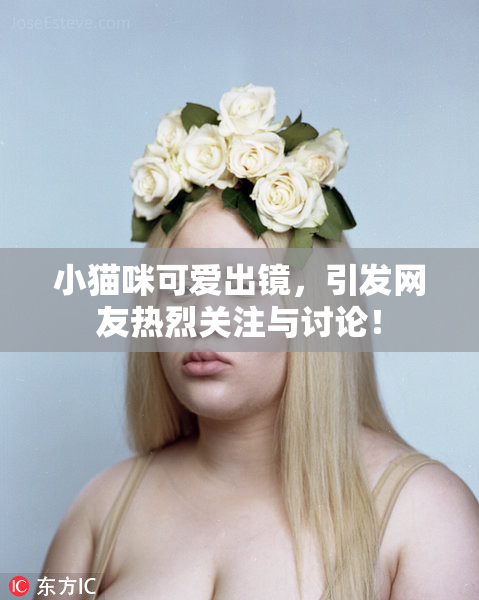 小猫咪可爱出镜，引发网友热烈关注与讨论！