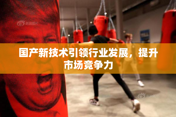 国产新技术引领行业发展，提升市场竞争力