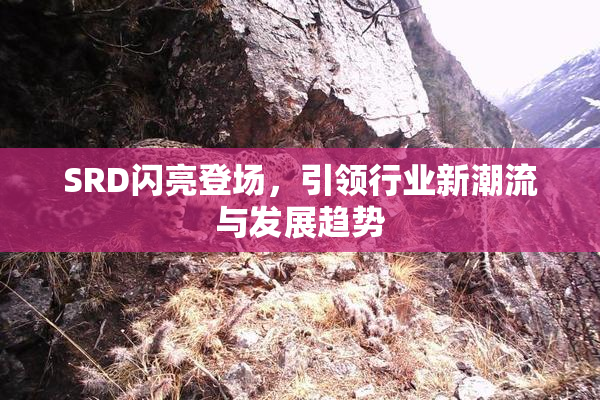 SRD闪亮登场，引领行业新潮流与发展趋势