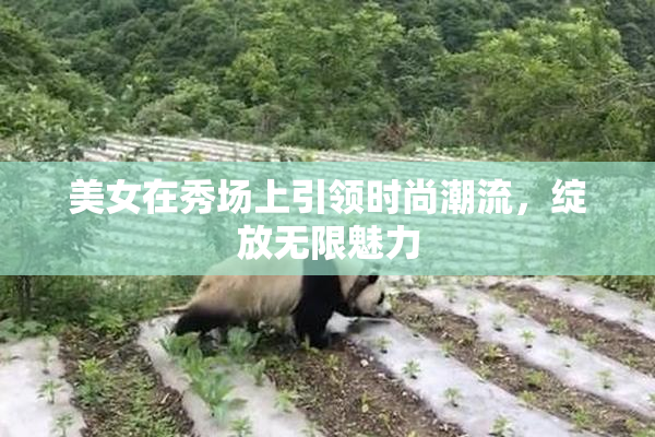 美女在秀场上引领时尚潮流，绽放无限魅力