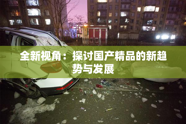全新视角：探讨国产精品的新趋势与发展