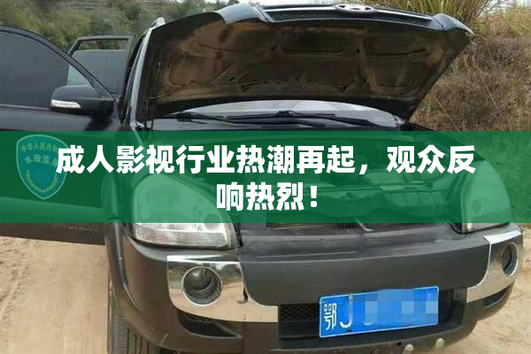 成人影视行业热潮再起，观众反响热烈！