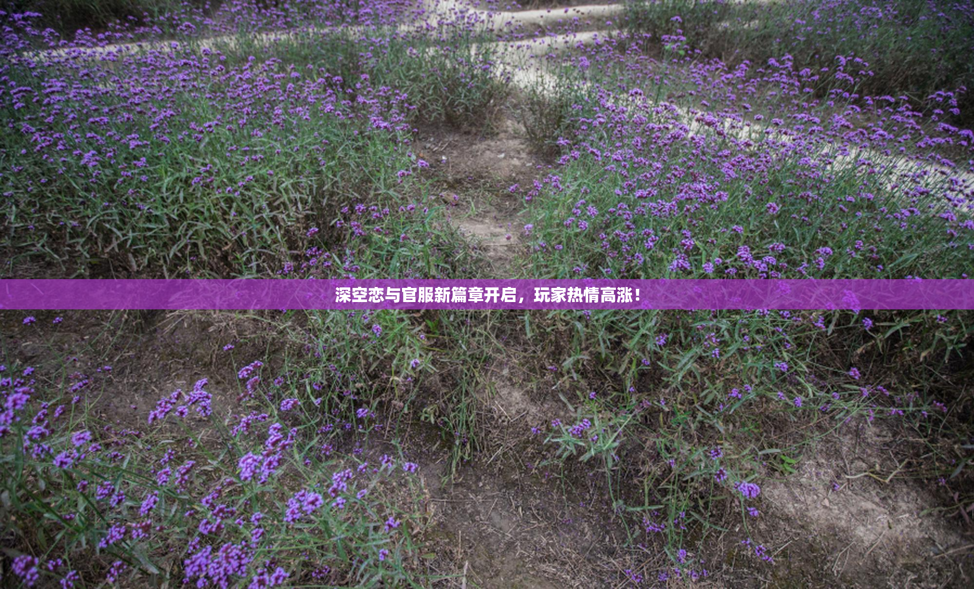 深空恋与官服新篇章开启，玩家热情高涨！