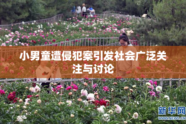 小男童遭侵犯案引发社会广泛关注与讨论