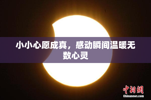 小小心愿成真，感动瞬间温暖无数心灵