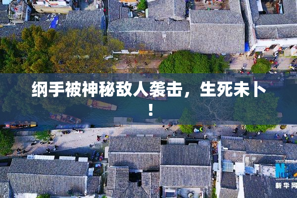 纲手被神秘敌人袭击，生死未卜！