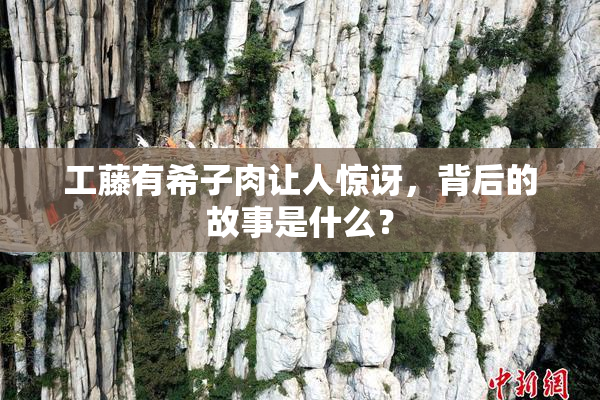 工藤有希子肉让人惊讶，背后的故事是什么？