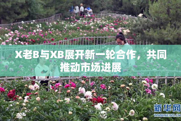 X老B与XB展开新一轮合作，共同推动市场进展