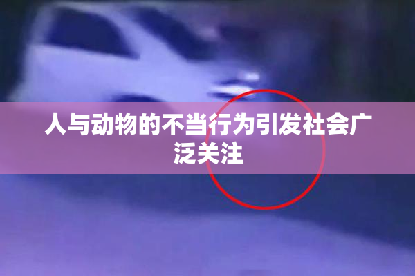 人与动物的不当行为引发社会广泛关注