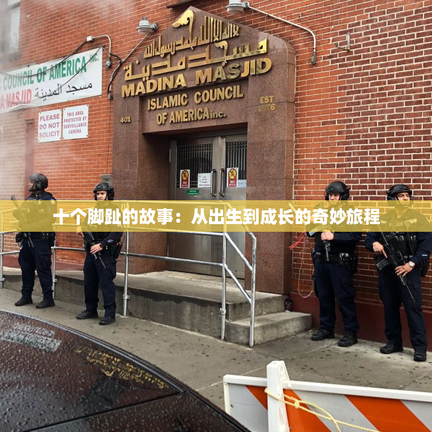 十个脚趾的故事：从出生到成长的奇妙旅程