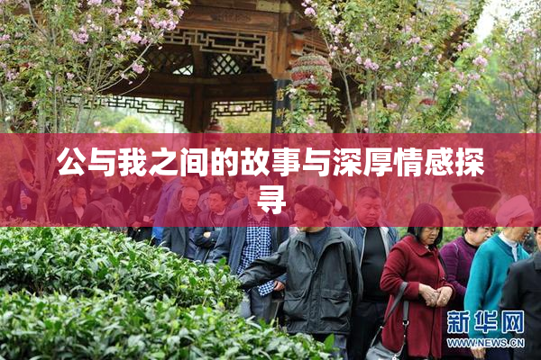 公与我之间的故事与深厚情感探寻