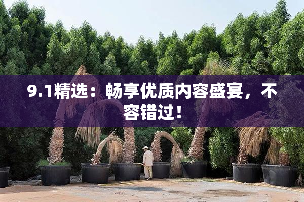9.1精选：畅享优质内容盛宴，不容错过！