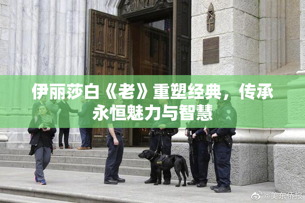 伊丽莎白《老》重塑经典，传承永恒魅力与智慧