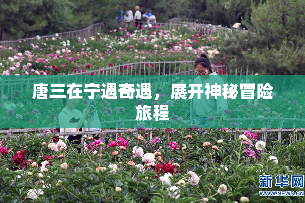 唐三在宁遇奇遇，展开神秘冒险旅程
