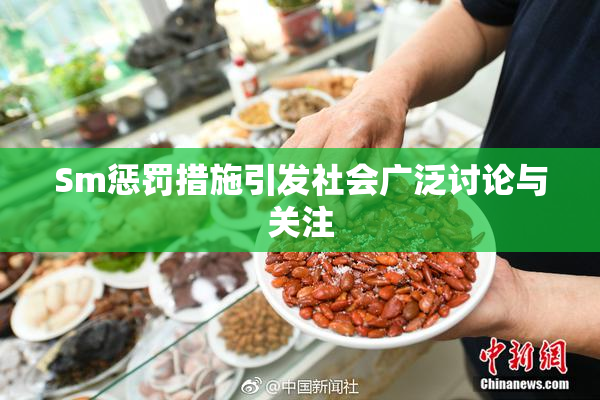 Sm惩罚措施引发社会广泛讨论与关注