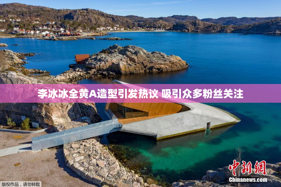 李冰冰全黄A造型引发热议 吸引众多粉丝关注