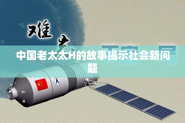 中国老太太H的故事揭示社会新问题