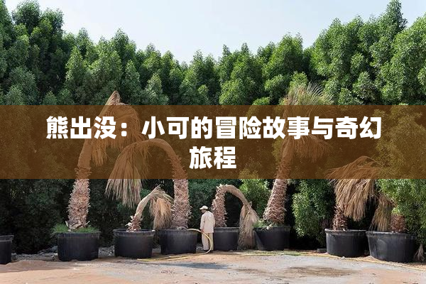 熊出没：小可的冒险故事与奇幻旅程