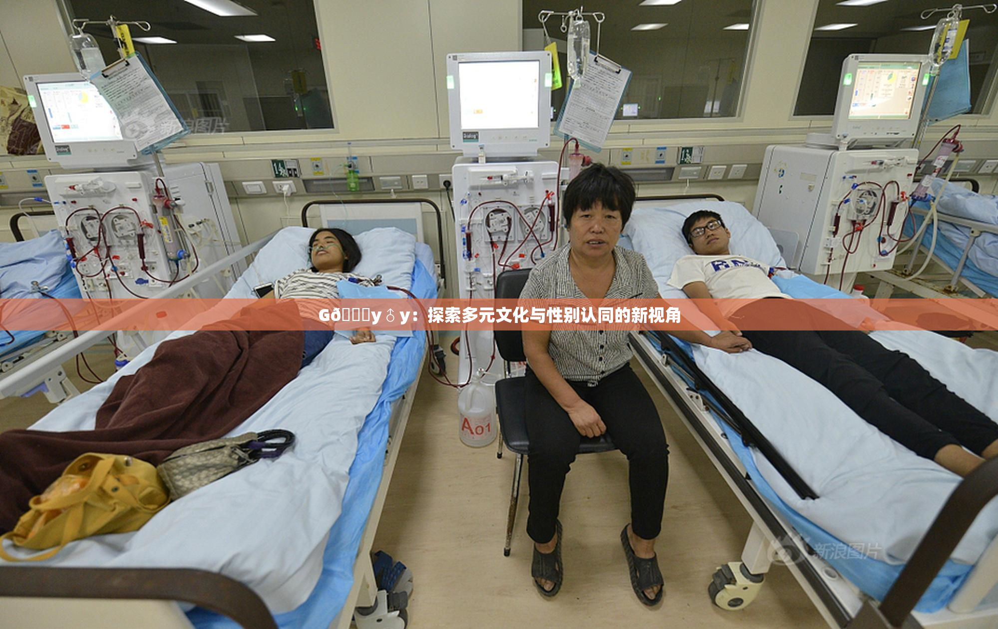 G🈚y♂y：探索多元文化与性别认同的新视角