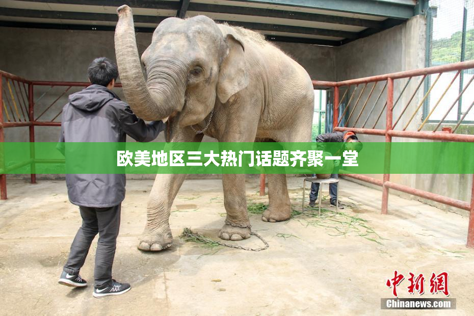 欧美地区三大热门话题齐聚一堂
