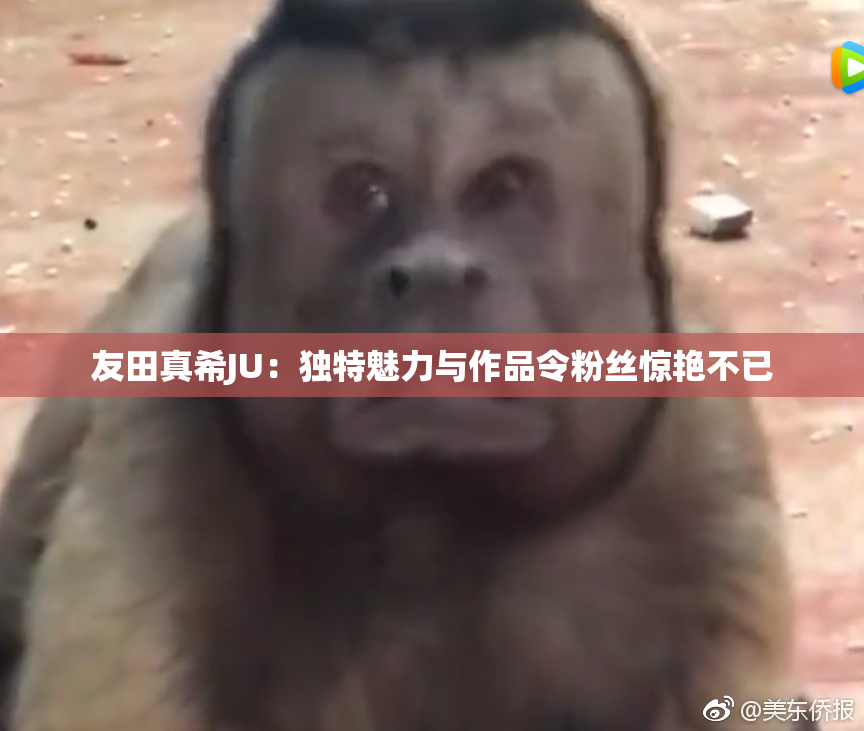 友田真希JU：独特魅力与作品令粉丝惊艳不已