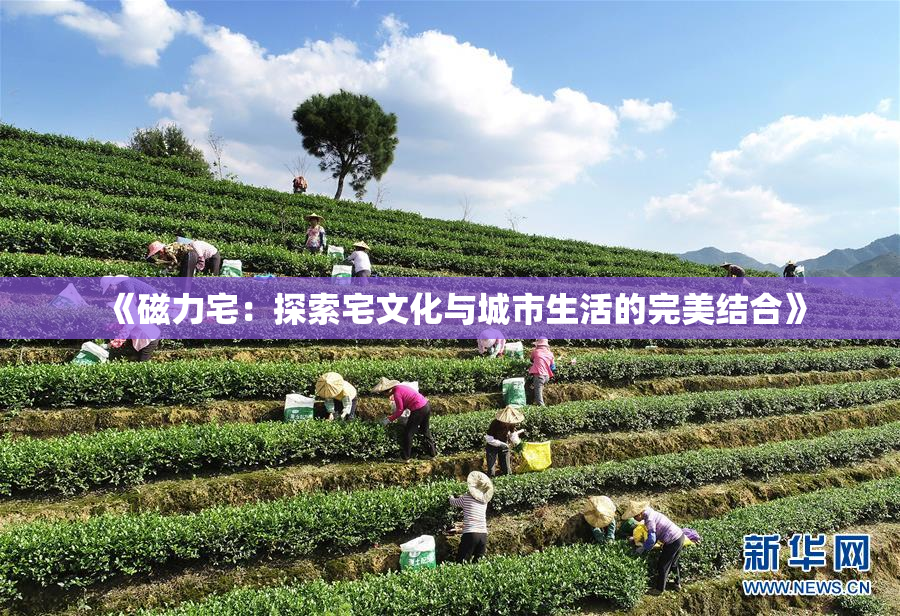 《磁力宅：探索宅文化与城市生活的完美结合》