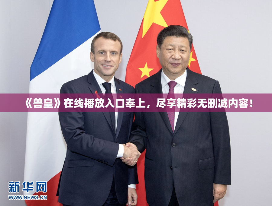 《兽皇》在线播放入口奉上，尽享精彩无删减内容！