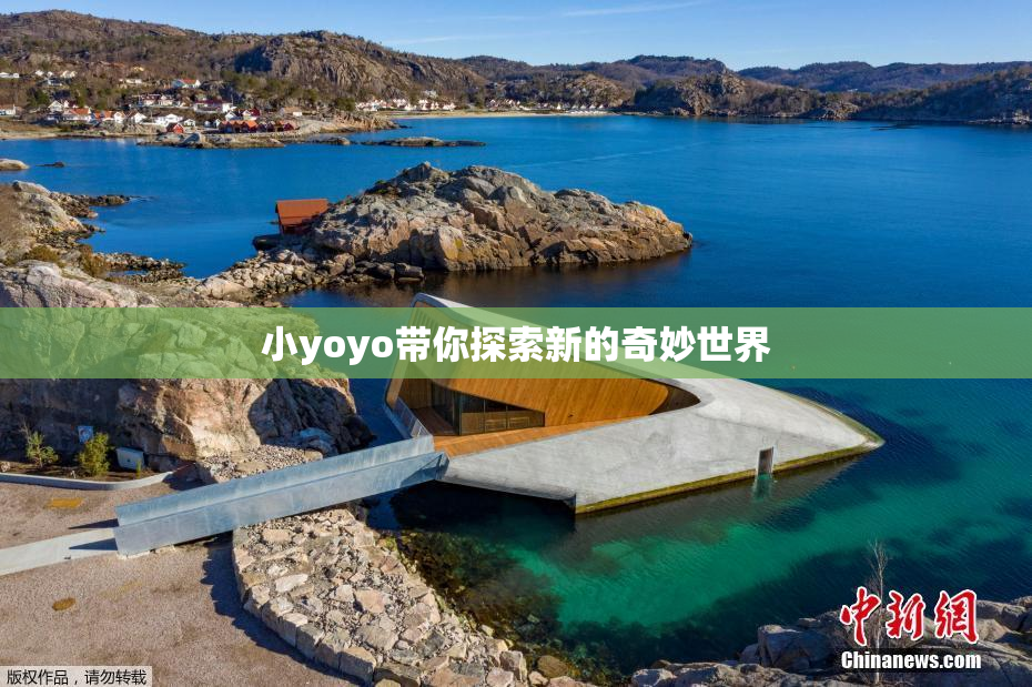 小yoyo带你探索新的奇妙世界