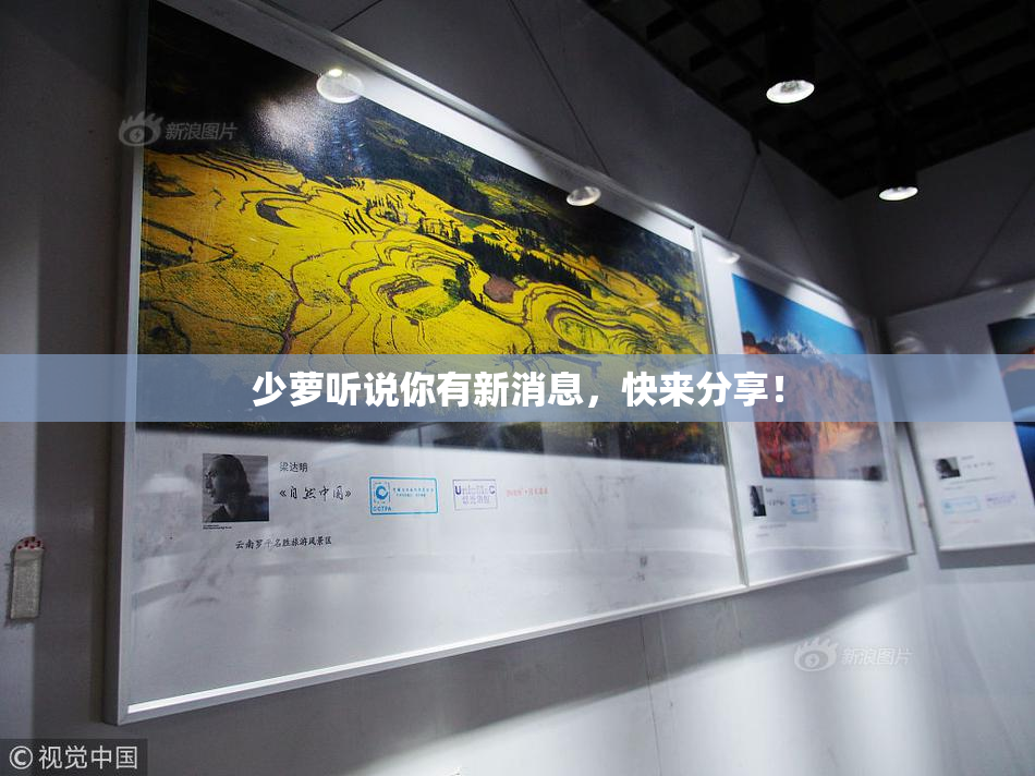 少萝听说你有新消息，快来分享！