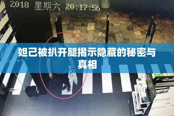 妲己被扒开腿揭示隐藏的秘密与真相