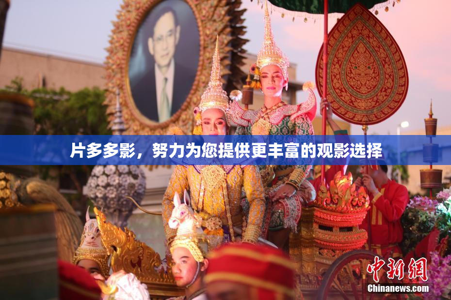 片多多影，努力为您提供更丰富的观影选择