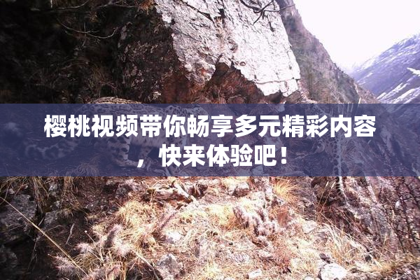 樱桃视频带你畅享多元精彩内容，快来体验吧！