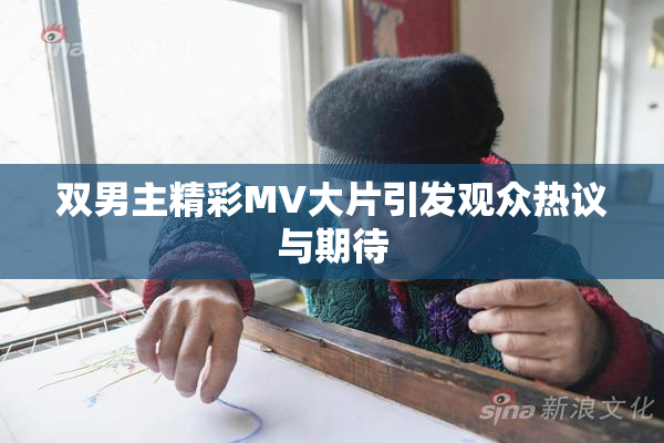 双男主精彩MV大片引发观众热议与期待