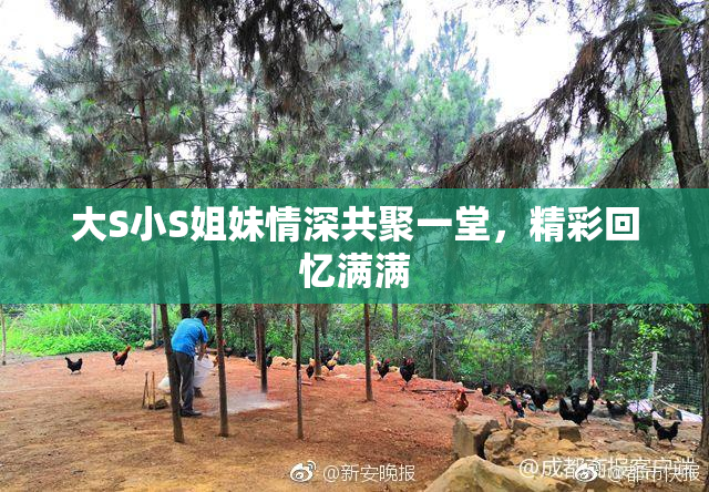 大S小S姐妹情深共聚一堂，精彩回忆满满