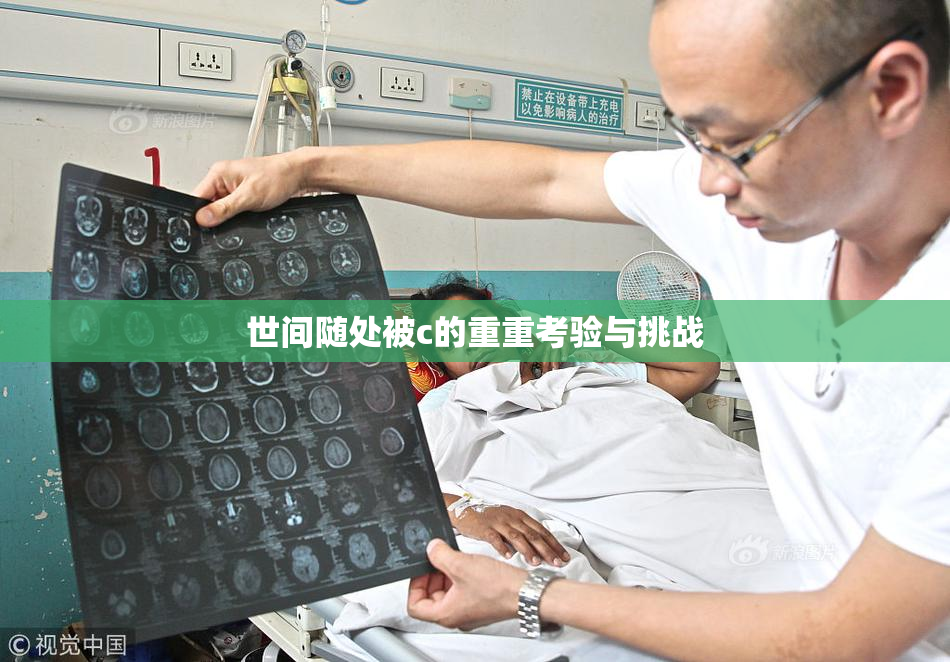 世间随处被c的重重考验与挑战