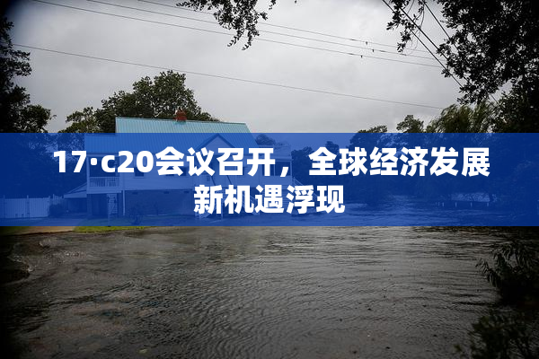 17·c20会议召开，全球经济发展新机遇浮现