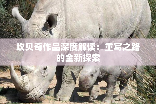 坎贝奇作品深度解读：重写之路的全新探索