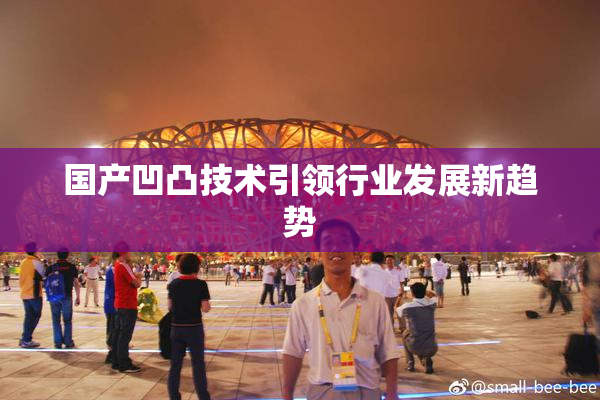 国产凹凸技术引领行业发展新趋势