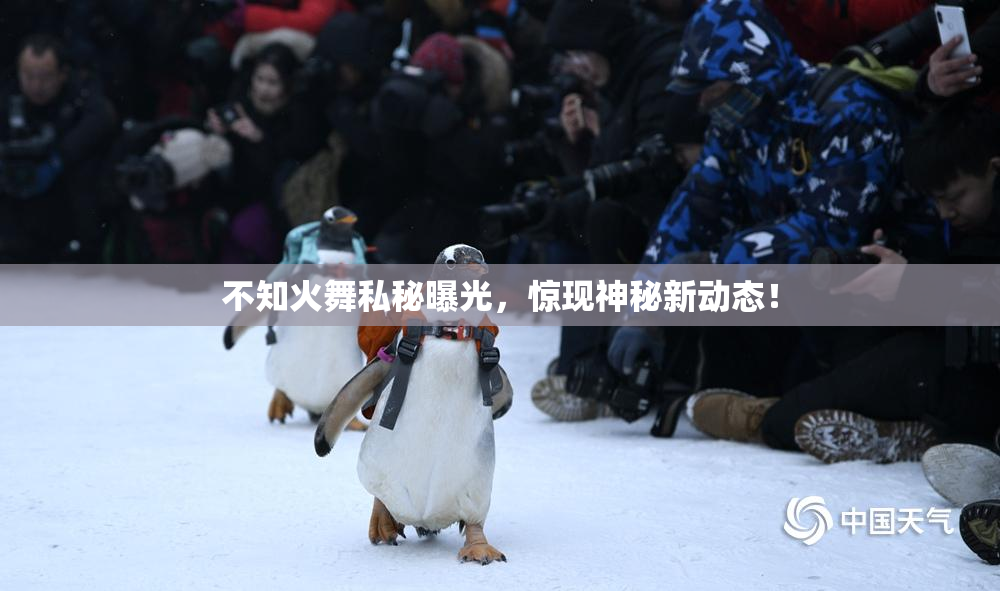 不知火舞私秘曝光，惊现神秘新动态！