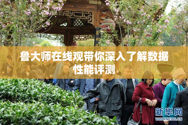 鲁大师在线观带你深入了解数据性能评测