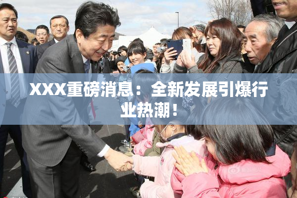 XXX重磅消息：全新发展引爆行业热潮！