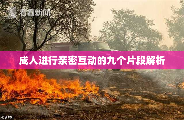 成人进行亲密互动的九个片段解析