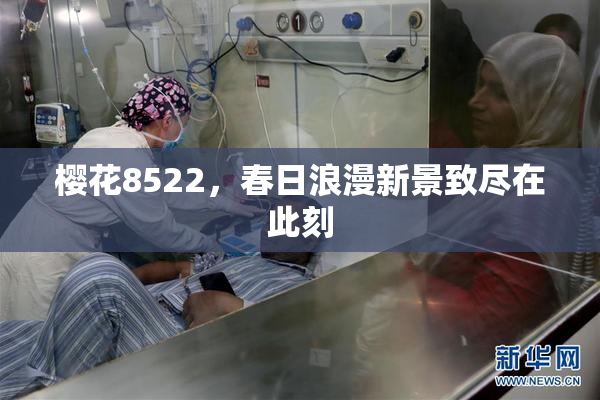 樱花8522，春日浪漫新景致尽在此刻