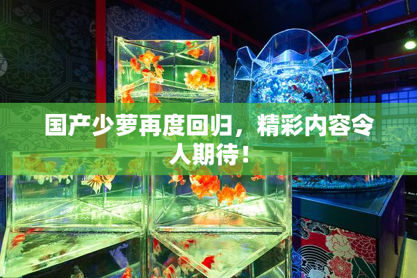 国产少萝再度回归，精彩内容令人期待！