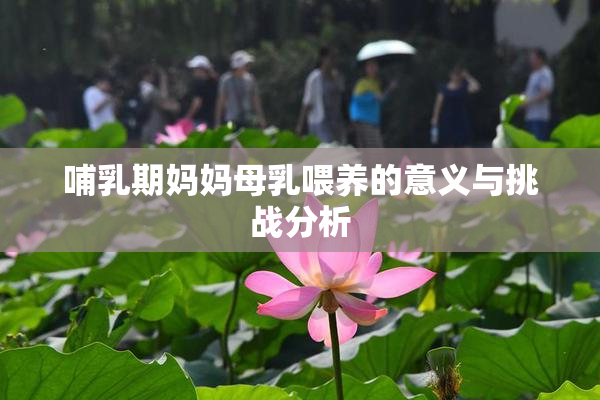 哺乳期妈妈母乳喂养的意义与挑战分析