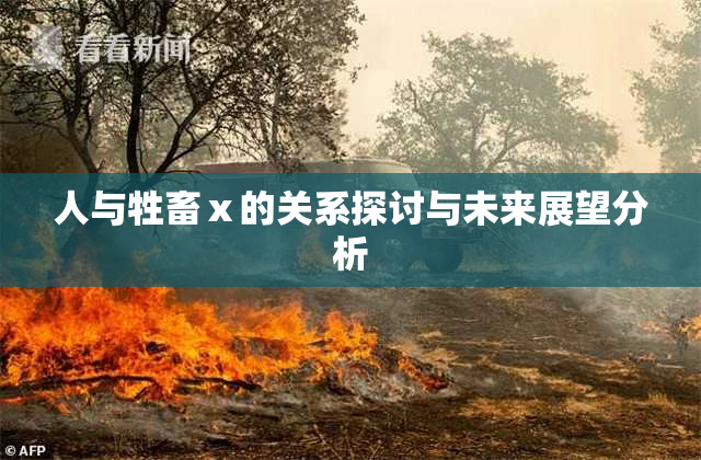 人与牲畜ⅹ的关系探讨与未来展望分析